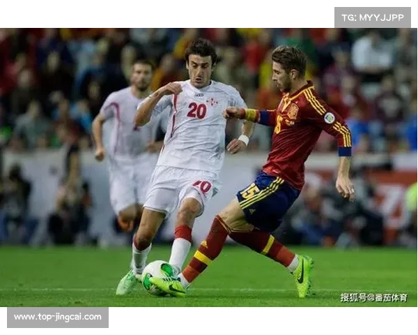 格鲁吉亚赛事筹备加速,市场前景获得高度评价